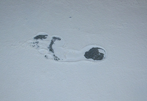 footprint_web