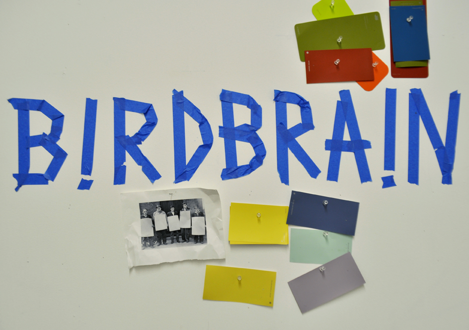 B!RDBRA!N_web